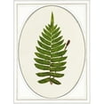 thumbnail image 2 of Waltz, Anne 15x18 White Modern Wood Framed Museum Art Print Titled - Leaf, 2 of 4