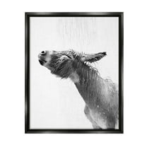Stupell Industries Donkey Bathroom Splash Animals & Insects Painting Black Floater Framed Canvas Art Print Wall Art, 17 x 21