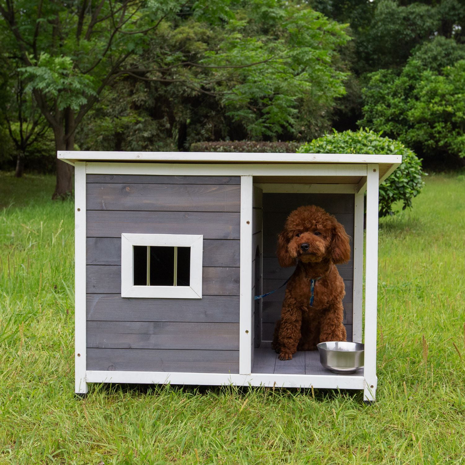 Confidence Pet XXL Waterproof Plastic Dog Kennel Outdoor House Green