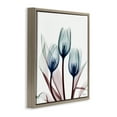 thumbnail image 3 of Stupell Industries Chic Blue Translucent Tulips Floral Photography Brown Floater Framed Canvas Art Print Wall Art, 25 x 25, 3 of 9