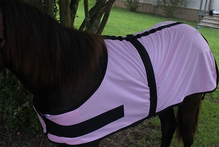 Miniature Weanling Donkey Pony Horse Foal Fly Summer Sheet Pink 51foal