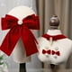 thumbnail image 5 of Cinta de Terciopelo Borgoña – 5 Yardas de Cinta de Raso de Poliéster con Flocado, para Envolver Regalos Navideños y Hacer Lazos DIY, Decoración de Mesas de Fiesta y Manualidades Florales, 5 of 6