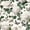 Color 1, variant on Peel and Stick Wallpaper Elegant White Roses Butterflies Floral Green Leaves 24in x 118in Contact Paper Removable Self Adhesive Wall Mural Wall Decor for Bedroom Kitchen Cabinets