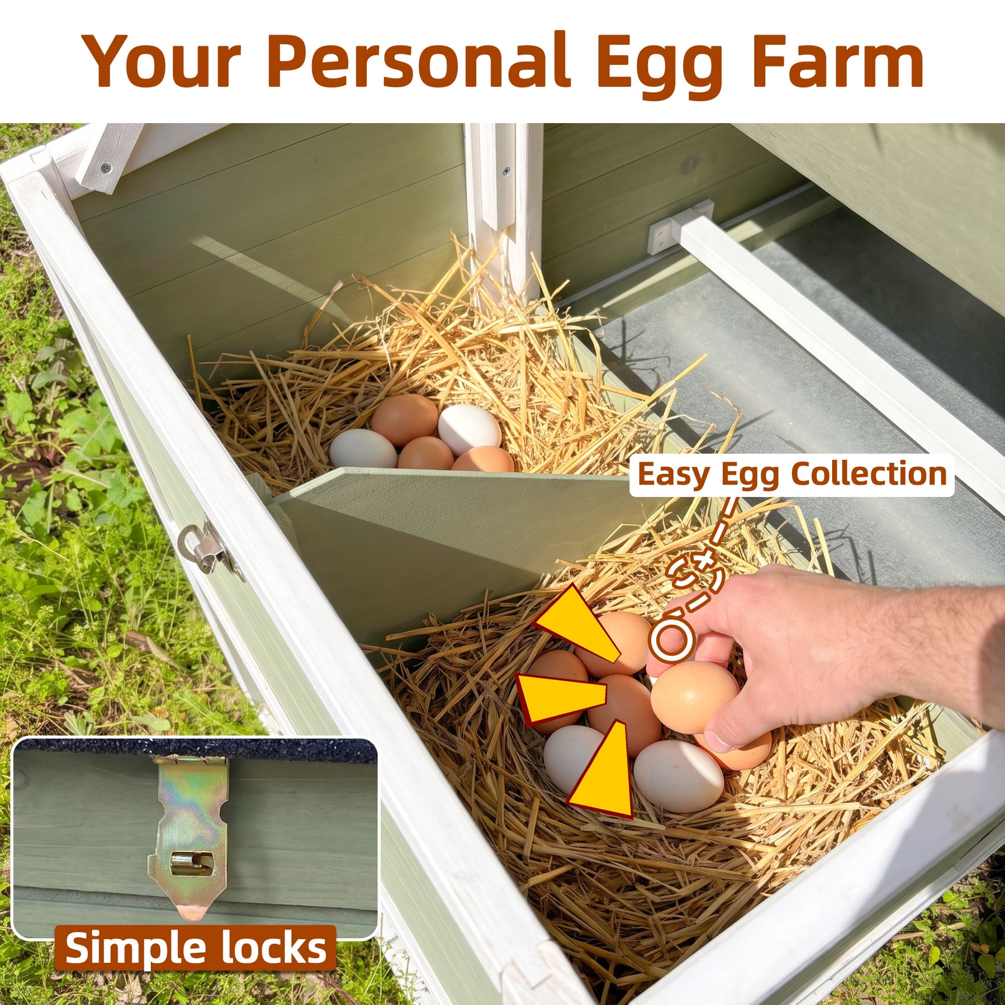Backyard Chicken Coop with Nesting Box, Weather Resistant Wooden Hen House, Walk-In Run Options, Fits 2-6 Chickens, Green Coop with Run