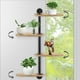thumbnail image 1 of Estantes Planta Ventana Giratoria Un Capas, 1 of 4