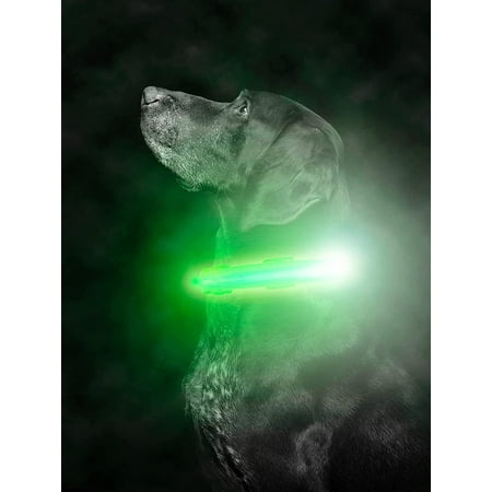 UPC: 0850024861114 | Mighty Paw Safety LED Dog Collar | USB Rechargeable With 2 High Visibility Glow Strips (S Green)