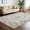 Brown, variant on FairOnly 8'x10' Blue Machine Washable Area Rugs for Living Room Vintage Distressed Ultra-Thin Bathroom Rugs Throw Carpet