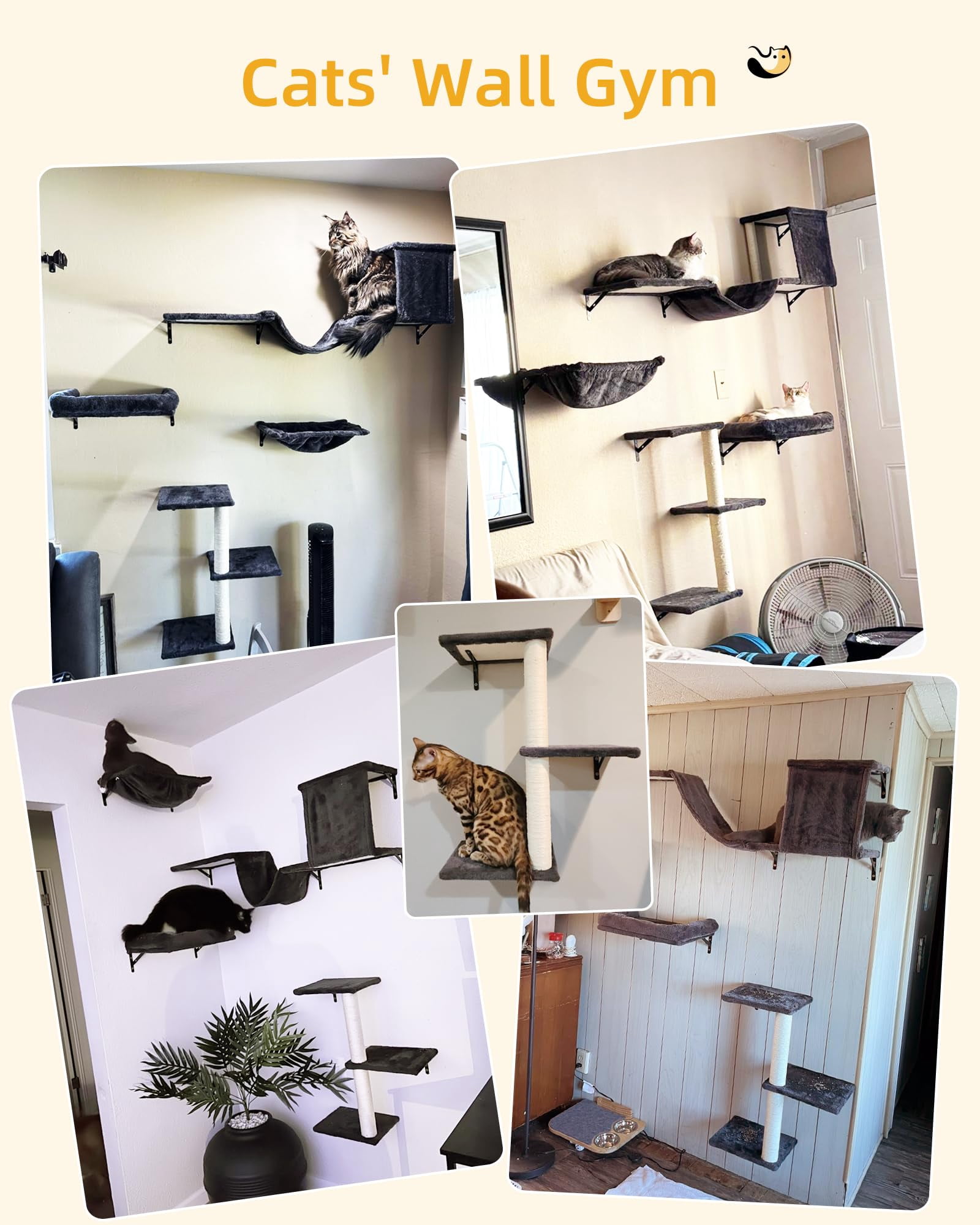 Wall-Mounted Cat Climbing Set 5-in-1 Perch and Hammock for Indoor Adult Cats