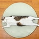 thumbnail image 1 of Alfombrilla para perros y gatos - Alfombra refrescante con tela de seda de hielo transpirable - Cama de refrigeración para mascotas de 40 cm en clima caluroso, 1 of 7
