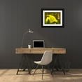 thumbnail image 3 of Grayscale 24x19 Black Ornate Wood Framed with Double Matting Museum Art Print Titled - Yellow Wildflower III, 3 of 4