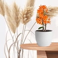 thumbnail image 4 of Macetas Decorativas Interior, Juego de 5 Macetas de Plastico, con Bandeja y Orificios de Drenaje, Adecuadas para Plantas, Flores y Suculentas, Cactus, 4 of 4
