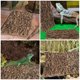 thumbnail image 5 of 4 piezas de corteza para terrario de reptiles, corteza para paisajismo, corteza para tanque de reptiles, decoración de corteza de fondo, decoración de corteza, 5 of 7