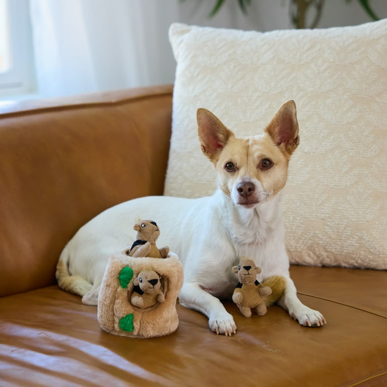 Outward Hound Hide A Squirrel Plush Puzzle Dog Toy, Small photo 6