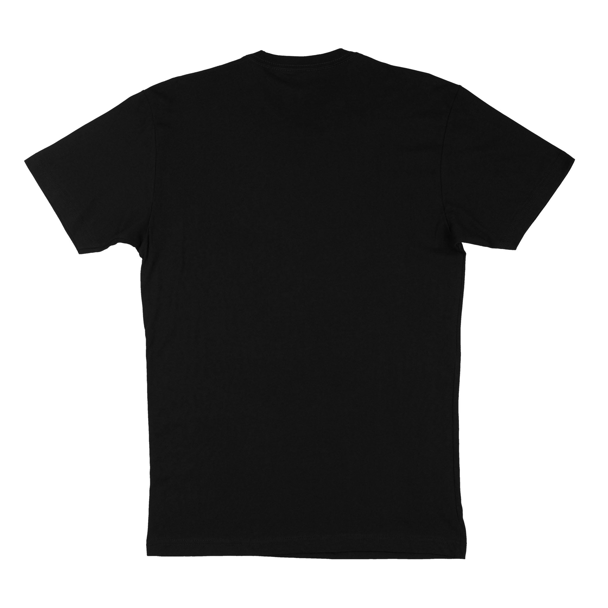 Usher and Chris Brown Concert Tour Unisex Next Level 3600 T-Shirt