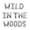 Gray, variant on Wild in the Woods Foil Balloons Bachelorette Decorations Camping Bachelorette Party for Camp Bridal Shower Party Supplies