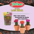 thumbnail image 5 of Hoffman 14452 Volcanic Lava Rock, 2-Qt. - Quantity 1, 5 of 5
