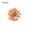 thumbnail image 1 of Flmtop 100Pcs Pressed Dried Ammi Majus Flower Epoxy Resin Nail Craft DIY Phone Decor, 1 of 10