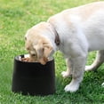 thumbnail image 1 of Comedero Elevado Ajustable Para Perros Y Gatos Pequeños - Soporte Con 2 Tazones De Acero Inoxidable, Diseño Ergonómico Antideslizante Para Mejorar La Digestión, 1 of 6