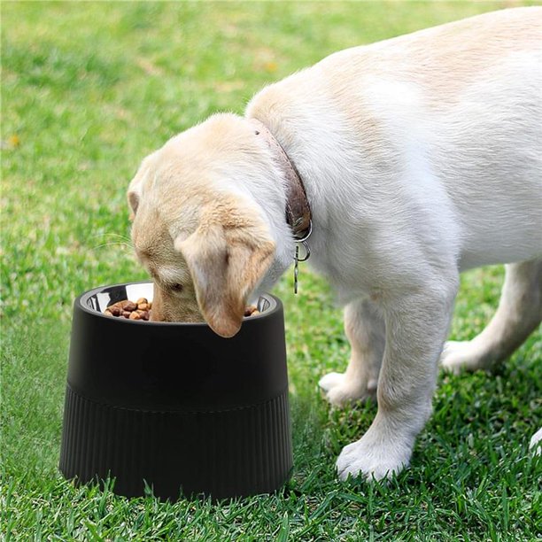 Comedero Elevado Ajustable Para Perros Y Gatos Pequeños - Soporte Con 2 Tazones De Acero Inoxidable, Diseño Ergonómico Antideslizante Para Mejorar La Digestión