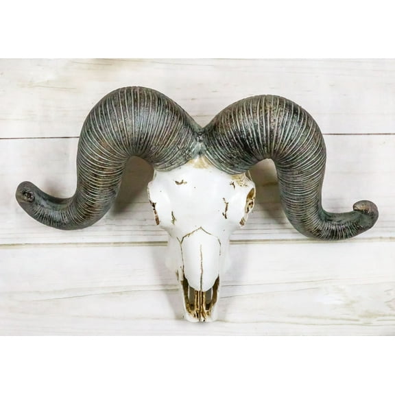 Rustic Majestic Texas Corsican Ram Skull With Horns Wall Decor Trophy 13"Wide