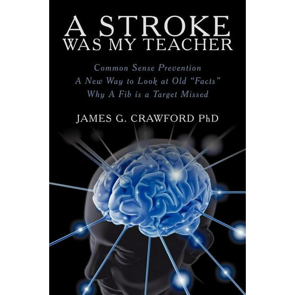 A Stroke Was My Teacher (Paperback)