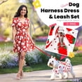 thumbnail image 6 of Newborn Brand Dog Dress Harness With Leash Set Pet Puppy Cat Vest Clothes, 6 of 9