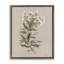 Stupell Industries Watercolor Wildflower Sprig Botanical & Floral Painting Brown Floater Framed Art Print Wall Art, 17 x 21