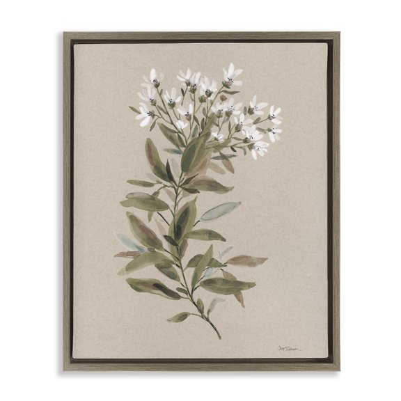 Stupell Industries Watercolor Wildflower Sprig Botanical & Floral Painting Brown Floater Framed Art Print Wall Art, 17 x 21