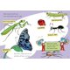 thumbnail image 3 of Libro On Beyond Bugs All About Insects The Cat in the Hat s Learning Library 48 paginas, 3 of 4