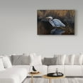 thumbnail image 3 of Trademark Fine Art 'Making Strides Great Blue Heron' Canvas Art by Wilhelm Goebel, 3 of 3