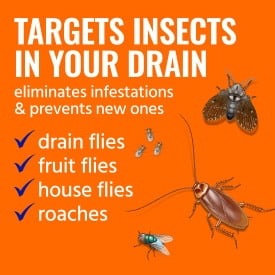 TERRO Drain Insect Killer - Drain Fly Killer - Foam Drain Treatment - Drain Treatment for Drain Flies, Fruit Flies, House Flies, and Roaches