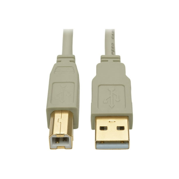 Eaton Tripp Lite Series B (m) USB 2.0 Beige A6 ft to B Cable (M/M), (1.83 M) - Câble USB - US vers USB Type B (M) - USB 2.0 - 6 Pi - Moulé - Beige