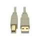 Eaton Tripp Lite Series B (m) USB 2.0 Beige A6 ft to B Cable (M/M), (1.83 M) - Câble USB - US vers USB Type B (M) - USB 2.0 - 6 Pi - Moulé - Beige – image 1 sur 5