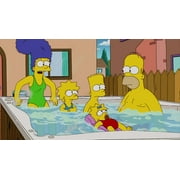 The Simpsons: The Complete Twentieth Season (DVD)