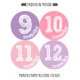 thumbnail image 3 of Monthly Baby Stickers by Months In Motion | 12 Month Milestone Sticker for Newborn Babies (Style 820), 3 of 4