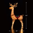 thumbnail image 5 of Northlight Lighted Standing Reindeer Outdoor Christmas Decoration - 60", 5 of 9