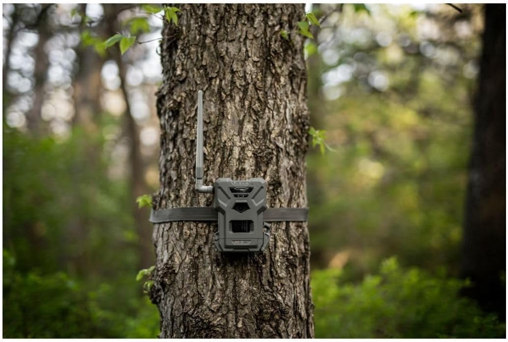 SPYPOINT Flex-m Twin Pack Cellular Trail Camera – Hunting Trail Monitor with GPS, Night Vision, Dual-Sim LTE, IP65 Water-Resistant