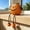 B, variant on Fruit-shaped Ornaments Resin Adorable Avocado Shelf Sitter Figurines with Flexible Dangling Legs Whimsical Hanging Edge Statues Cute Fruit Character Desktop Ornaments for Bookshelf Decor