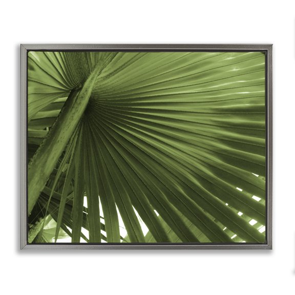 Stupell Industries Contemporary Close Up Palm Leaf Lush Green Tropical Plant Gray Floating Frame Canvas Art, 21 x 17, by Graffitee Studios