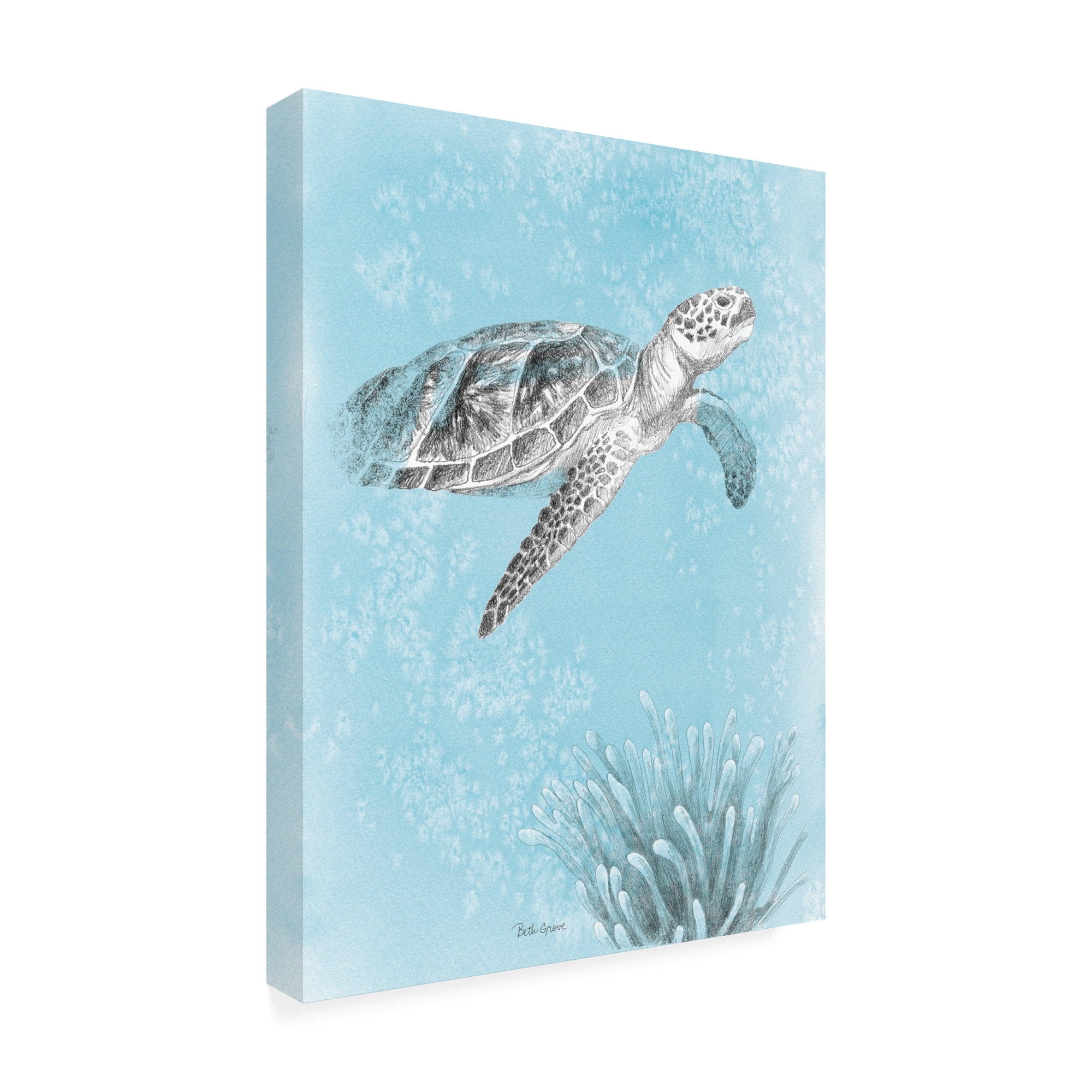 Trademark Fine Art 'Coastal Sea Life I v2' Canvas Art by Beth Grove