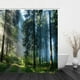 thumbnail image 2 of Cortina de ducha de 180x180 cm con agujeros, impermeable, con estampado digital. bosque, 2 of 7