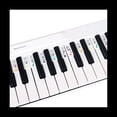 thumbnail image 1 of Piano Note Sticker Button Strip Silicone Color Universal Detachable Keyboard Sticker (PVC Box) 61 Keys,2 * note strip stickers,White, 1 of 10