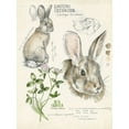 thumbnail image 2 of Parker, Jennifer Paxton 12x14 White Modern Wood Framed Museum Art Print Titled - Wildlife Journals II, 2 of 4