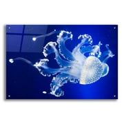 Epic Art 'Translucent Jellyfish' by Epic Portfolio Acrylic Glass Wall Art, 36"x24"