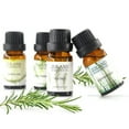 thumbnail image 5 of NEW Essential oils Essential Oil Water-Soluble Dropper Oil for Humidifier and Aromatherapy Machine 10ML(buy 2 get 10% off), 5 of 5