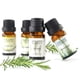 thumbnail image 5 of Aceites esenciales Elementos esenciales para el hogar Aceite gotero soluble en agua para humidificador y máquina de aromaterapia 10ML(Buy 2 Save 10%), 5 of 8