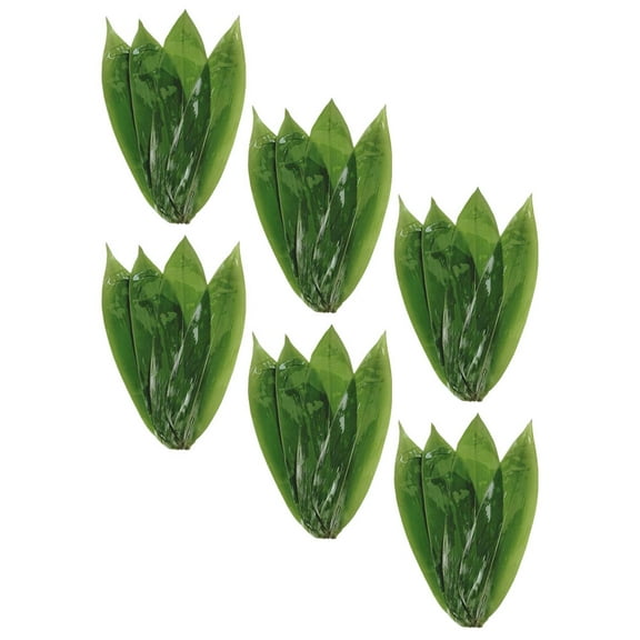 CTIRCHIU 50-Pack Dark Green Leaves for Cooking and Food Wrapping