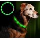 thumbnail image 1 of Collar con luz LED para perros, recargable por USB, collar de seguridad para mascotas de longitud ajustable para perros y gatos, 1 of 6