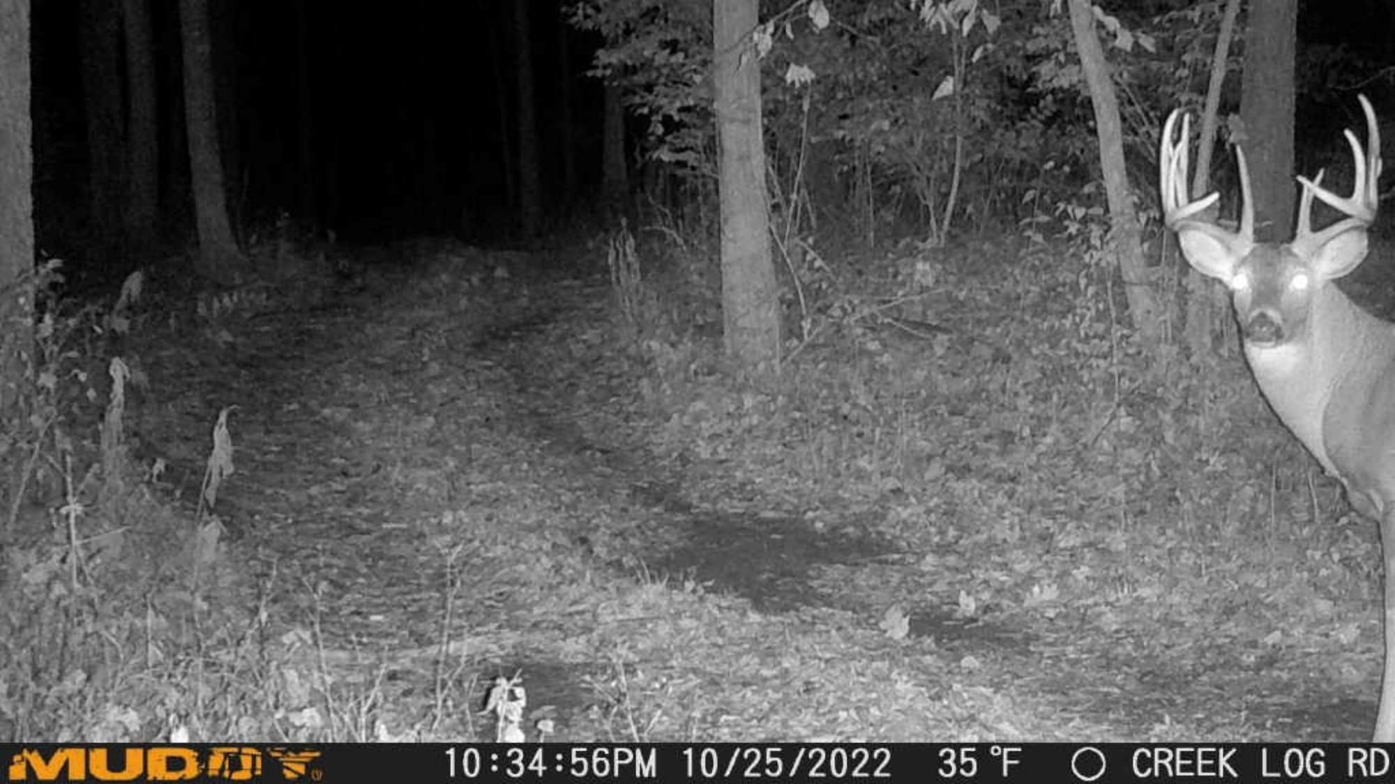 Muddy Outdoors Mitigator Cellular Trail Camera 20 MP
