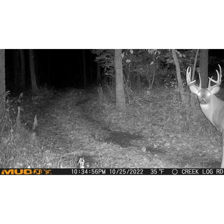 Muddy Manifest Camera Problems Muddy Cellular Trail Cam Muddy MUD